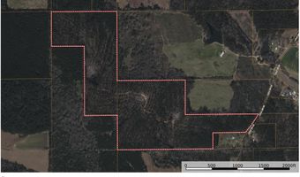 SE Cole Drive, Bogue Chitto, MS 39629