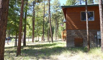 3 CR 2190, Alpine, AZ 85920