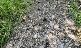 Denio Road, Barnet, VT 05821