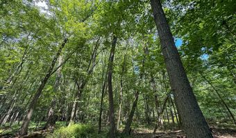 39 Acres N Pingree Rd, Alma, MI 48801