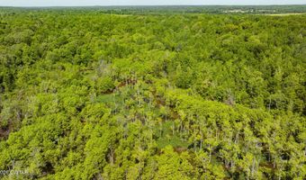 Beech Bluff Road, Beech Bluff, TN 38313