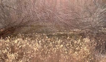 THORN APPLE Drive Lot 6, Wittenberg, WI 54499