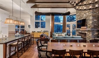 304 S Garmisch St, Aspen, CO 81611