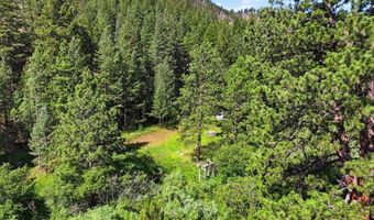 Spiritwood Ln, Bellvue, CO 80512