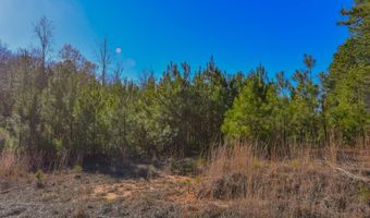 43 Horne Dr, Abbeville, SC 29620