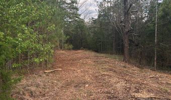 Hwy 9, Blue Springs, MS 38828