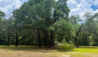 5703 Old River Rd, Baker, FL 32531