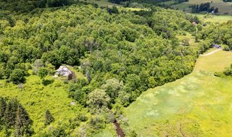1652 Thompson Hollow Rd, Andes, NY 13731