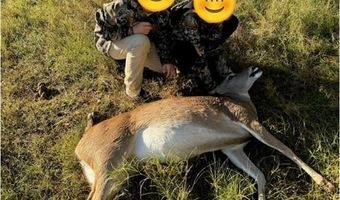 542 S 25th St, Abilene, TX 79602
