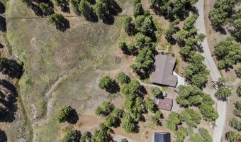 699 Beaver Creek Dr, Bayfield, CO 81122