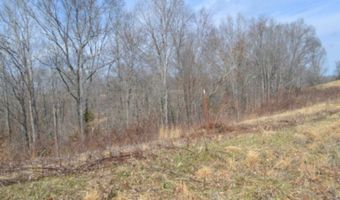 4 13ac Hush Hollow Lane Lot 31-33, Baxter, TN 38544