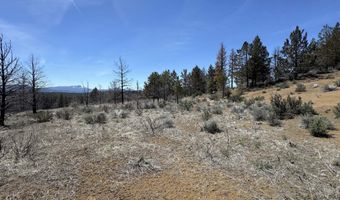 31763 Godowa Springs Rd, Beatty, OR 97621