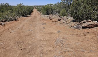 ACR N8388 and N8385, Concho, AZ 85924