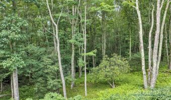 Featherwood Trail, Banner Elk, NC 28604