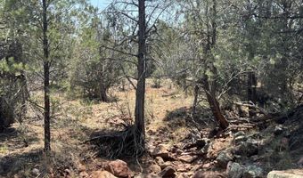 164 Rattlesnake Rd, Ash Fork, AZ 86320