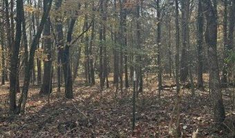 Meadow Court lot 1031, Baneberry, TN 37890