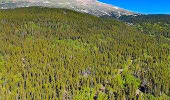 715 LEWSADER Rd, Alma, CO 80420