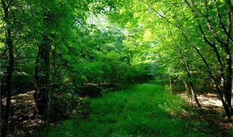 Todd Road, Advance, NC 27006
