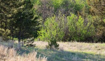NHN Tongue River Rd, Ashland, MT 59003