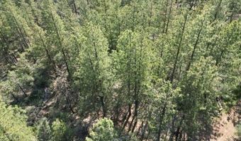 Sandpiper Ln, Beatty, OR 97621