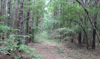 Hwy 550, Brookhaven, MS 39601