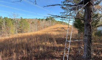15548 Highway 15 N, Ackerman, MS 39735
