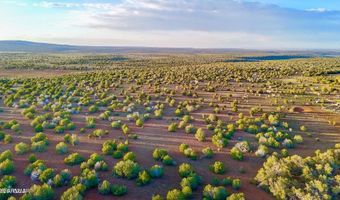 N SIX SHOOTER TRL 20 ACRES, Ash Fork, AZ 86320