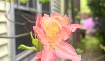 316 Putney Rd, Brattleboro, VT 05301