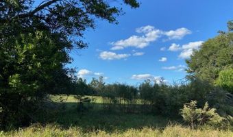 000 W CR RD1491 Rd, Alachua, FL 32615
