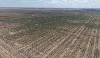 364 14 Acres Pullman Rd, Amarillo, TX 79118