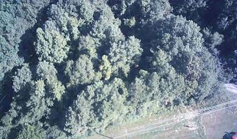 77 Acres Main St, Altoona, AL 35952