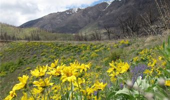 Tbd Gold Creek Way, Belfry, MT 59008