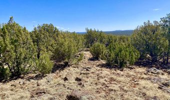 74 County Road 8056, Concho, AZ 85924