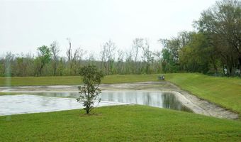 1572 MATTIE POINTE Pl, Auburndale, FL 33823