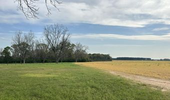 Vinson Ray Road, Baker, FL 32531