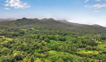 143 Alalele Pl, Hana, HI 96713