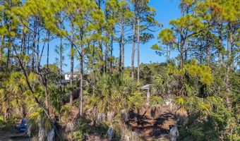 202 Harbor Cir, Alligator Point, FL 32346
