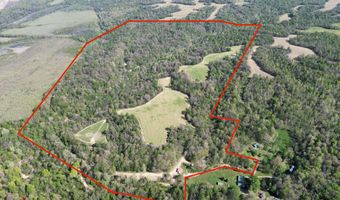378 County Road 1219, Bardwell, KY 42023