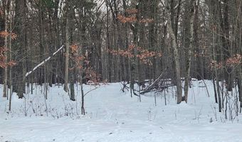 L59 Badger Court lot 59, Arkdale, WI 54613