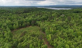 6020 Eaglewood Ln, Birchwood, TN 37308