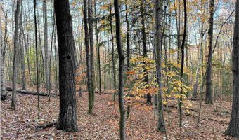 4-1 7 Hodgeman Hill Rd, Campton, NH 03223