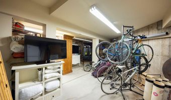 109 Neale Ave, Aspen, CO 81611