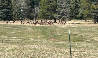 53 Forest Rd 76, Angel Fire, NM 87710