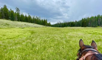 17 County Road 2114, Alpine, AZ 85920