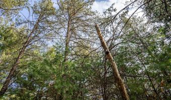 S Badger Lane lot 38, Arkdale, WI 54613