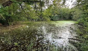 N3953-89 Bear Pen Road, Arkansaw, WI 54721