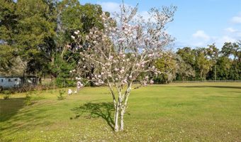 9900 NE 20 TERRACE Rd, Anthony, FL 32617