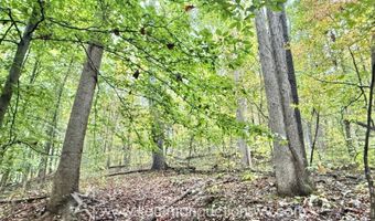 Jesse Run Rd, Arnoldsburg, WV 25234