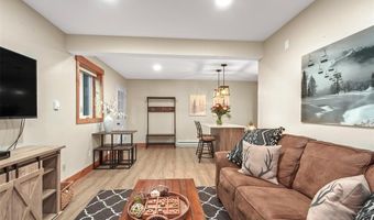 820 COLUMBINE Rd 20, Breckenridge, CO 80424