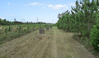 17668 Flatwoods Rd, Altha, FL 32421